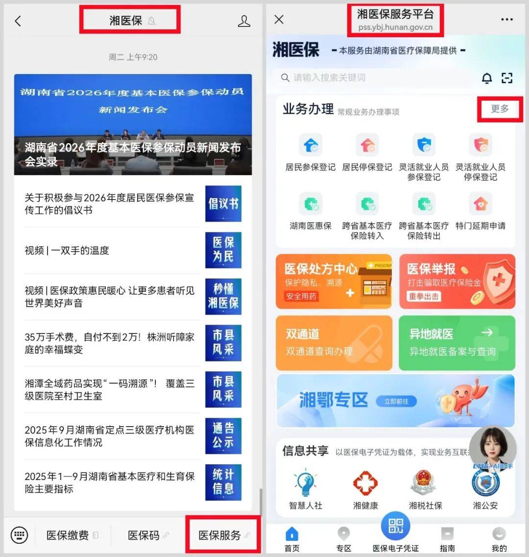 陇南医保提取平台(医保提取平台官网)