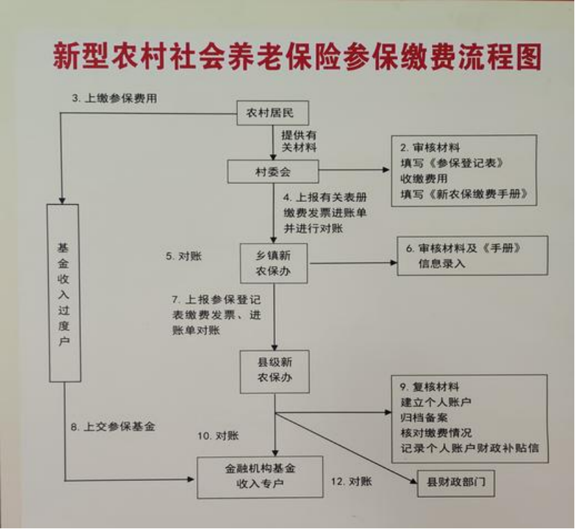 陇南农村医保和社保有什么区别(农村医保跟社保的区别)